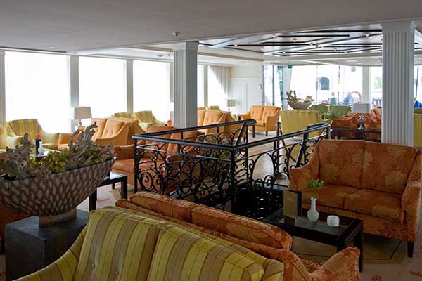AmaCello Gallery Image
